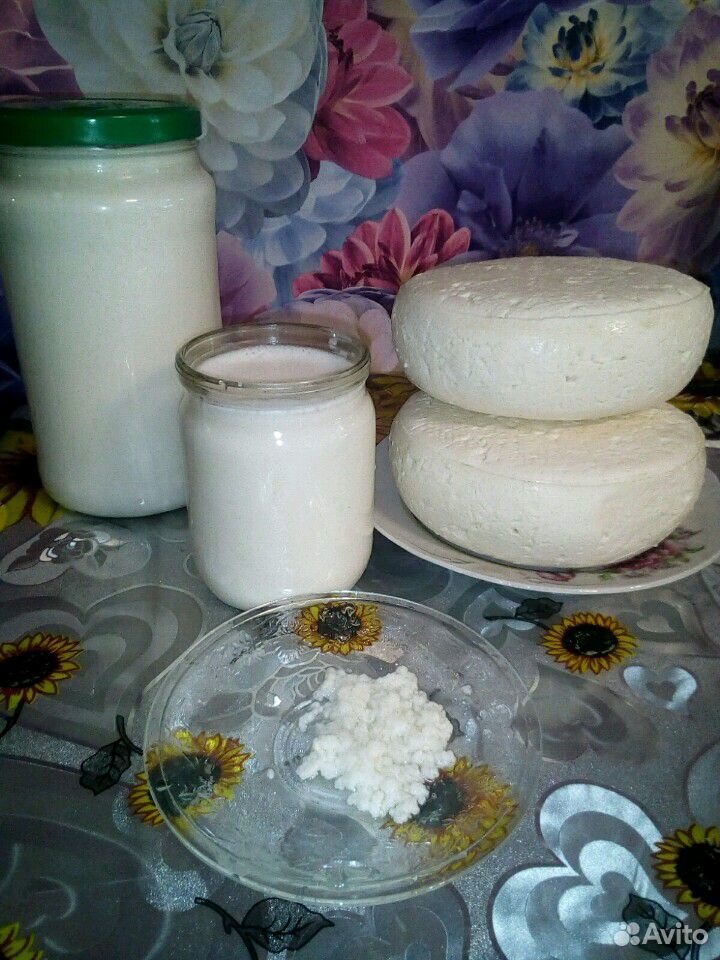 Козье молоко,сметана, сыр,тебетский молочный гриб купить на Зозу.ру - фотография № 1