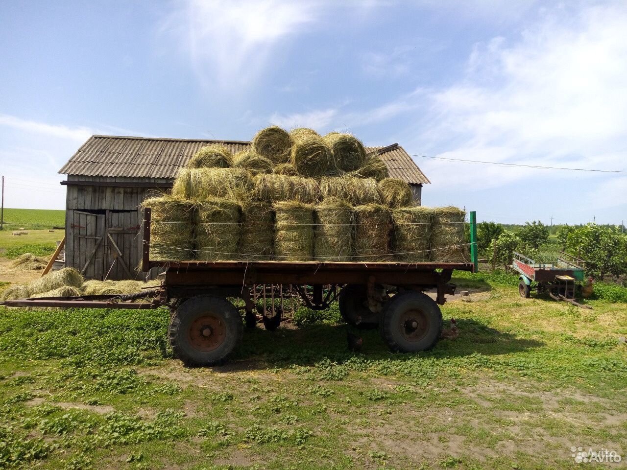 Купить Сено В Чертковском Районе Ростовской Области