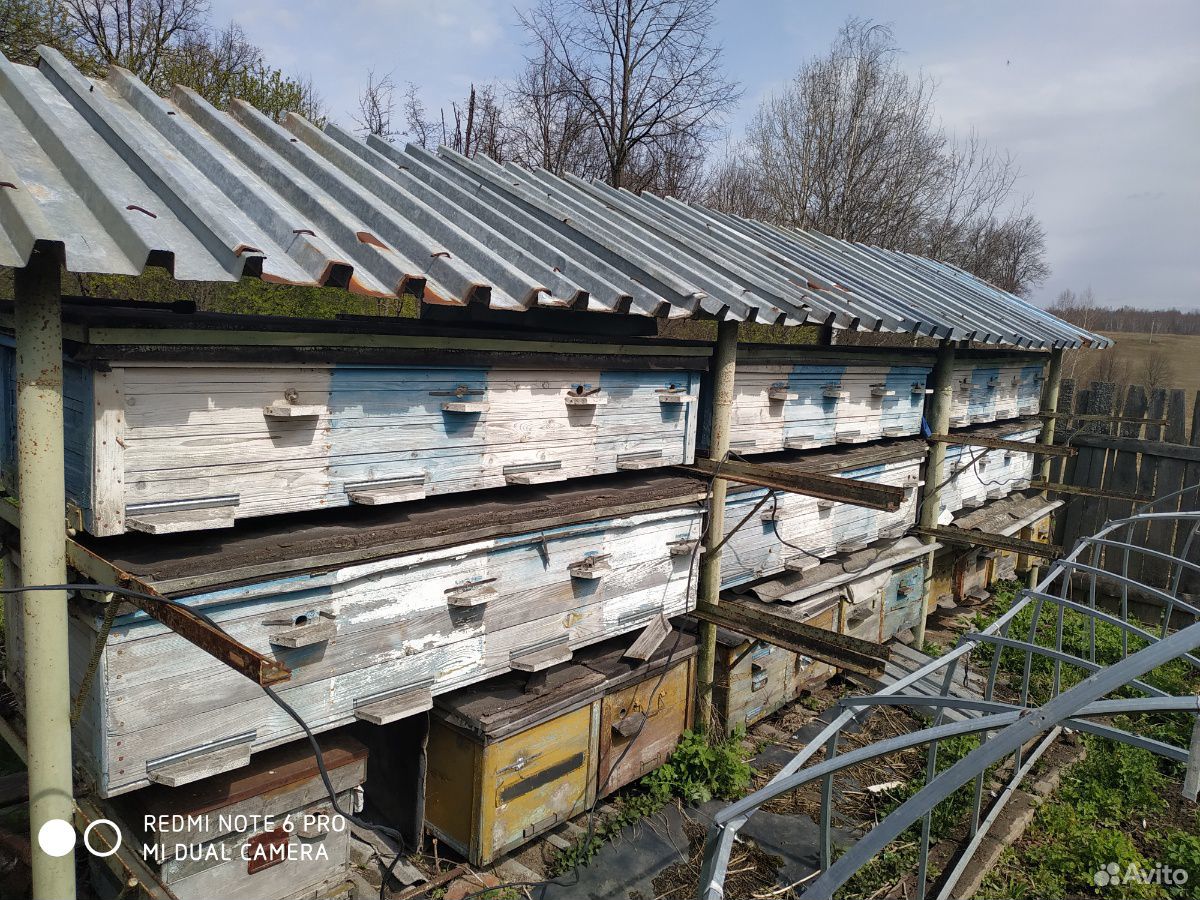 Товары для пчеловодства купить на Зозу.ру - фотография № 9