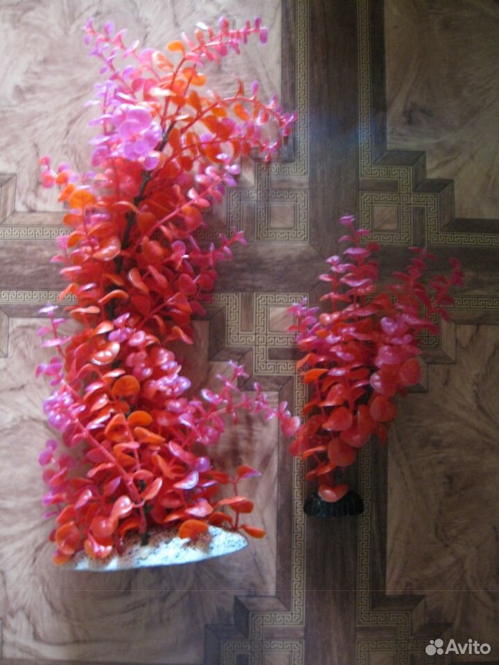 Растения для аквариума (наборы) купить на Зозу.ру - фотография № 2