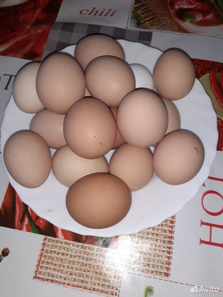 Домашние яйца купить на Зозу.ру - фотография № 2