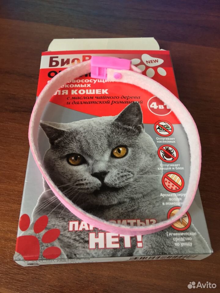Ошейник для кошки купить на Зозу.ру - фотография № 3