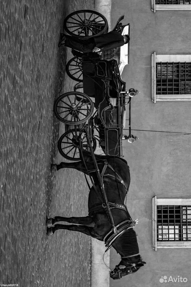 Продается карета для лошади купить на Зозу.ру - фотография № 1