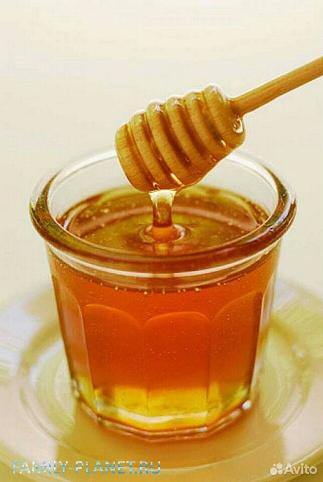 Свежий мёд и соты пчёл купить на Зозу.ру - фотография № 1