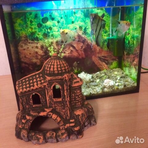Домик для аквариума купить на Зозу.ру - фотография № 1