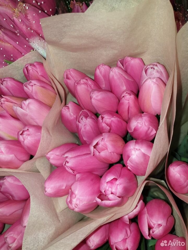 Луковицы тюльпанов на озеленение купить на Зозу.ру - фотография № 4