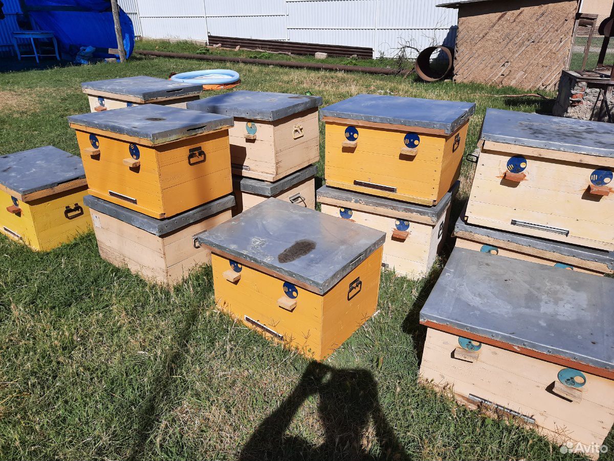 Ящики для пчел купить на Зозу.ру - фотография № 2