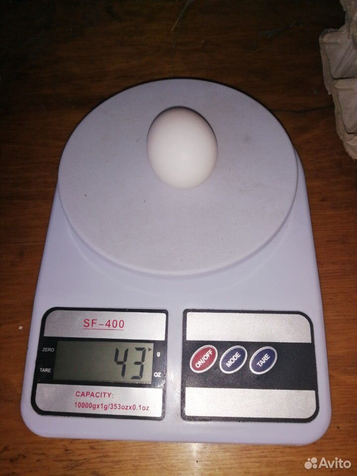 Домашнее куриное яйцо Куриное яйцо купить на Зозу.ру - фотография № 3