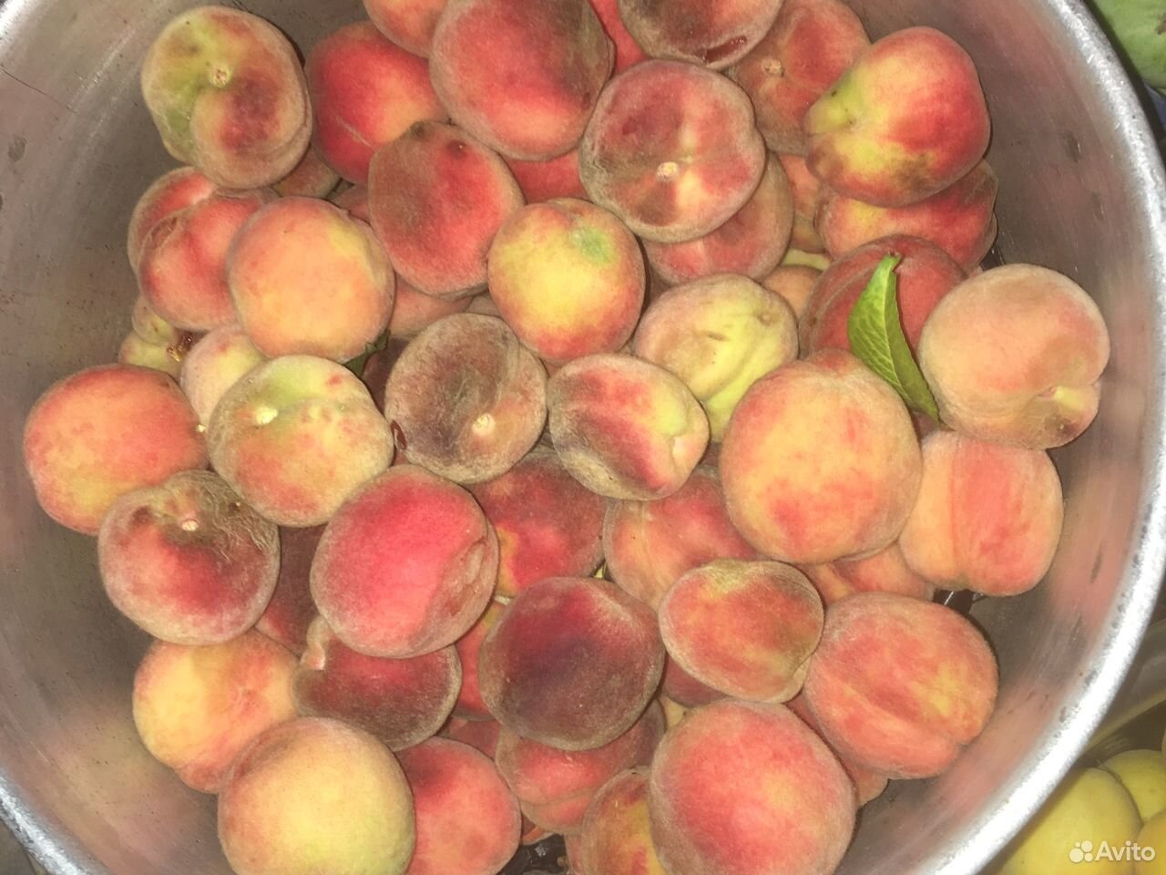 Яблоки,персики,вишня,абрикос купить на Зозу.ру - фотография № 4