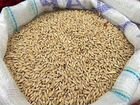 Кукуруза, ячмень, пшеница объявление продам