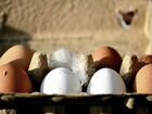 Яйца куриные домашние объявление продам