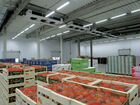 Пассивный доход займ с залогом
