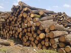 Продам дрова твёрдых пород объявление продам