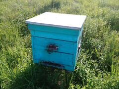 Улья для пчёл
