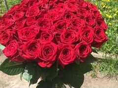 55 красных роз в букете Доставка
