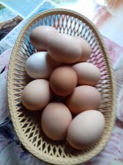 Яйцо инкубационное от домашних курочек