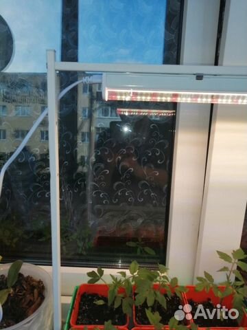 Фитосветильник для растений Uniel ULI-P18-15W