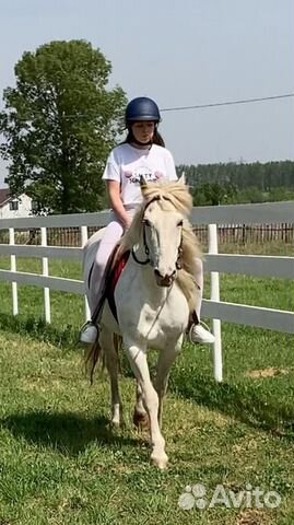 Верховая езда (прогулки и обучение)