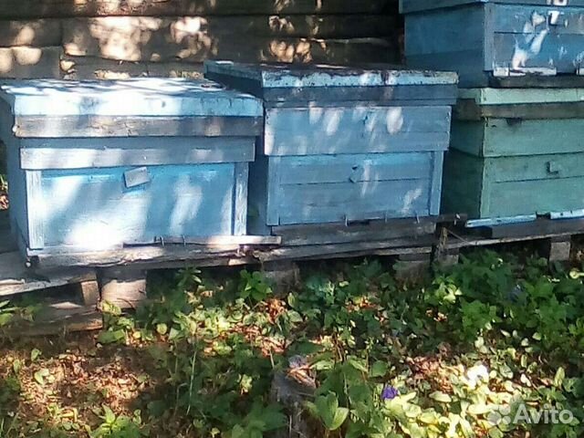 Ульи рамки и другой инвентарь
