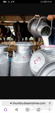 Супермолоко, творог домашний