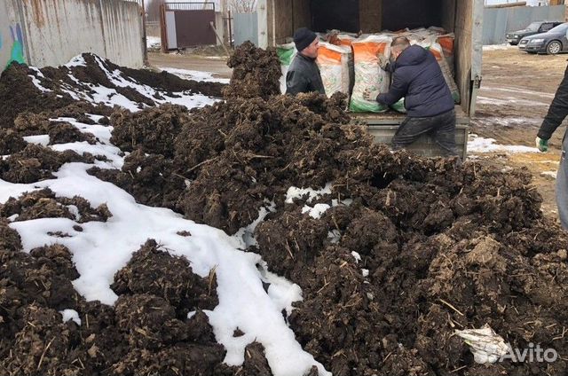 Чернозем перегной навоз