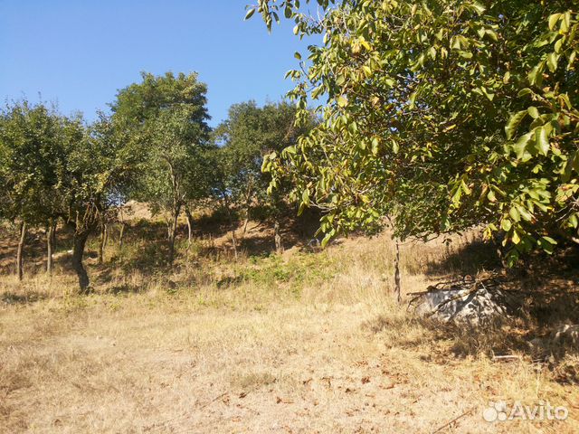 Участок 25 сот. (ИЖС)