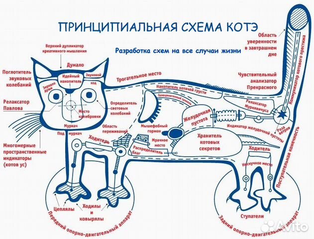 Новосибирск Фото Схема Новосибирск Фото Схема