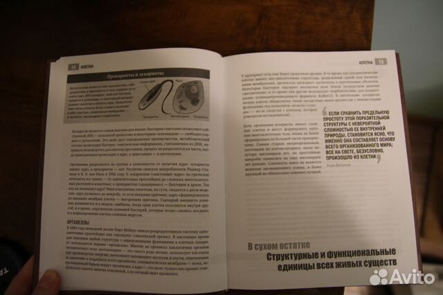 Биология. 50 идей, о которых нужно знать Биология. 50 идей, о которых нужно знать