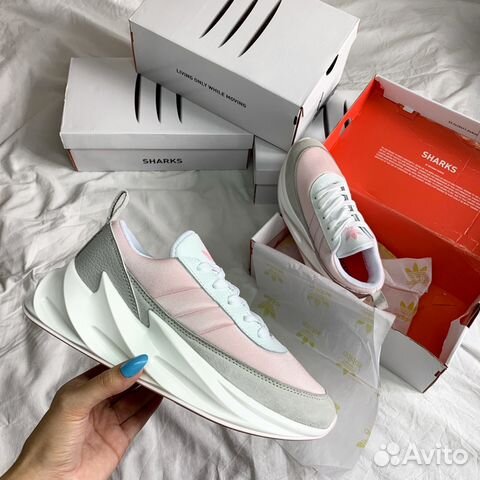 Adidas Sharks Adidas Sharks