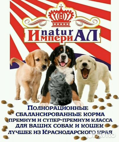 Корм для собак и кошек купить на Зозу.ру - фотография № 1