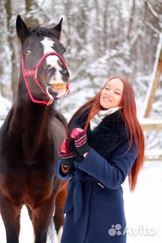 Лошадь в аренду с возможностью продажи купить на Зозу.ру - фотография № 1