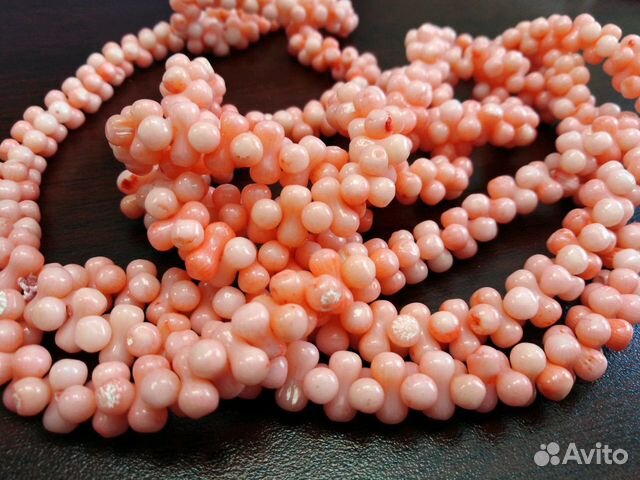 Бусы. Ожерелье. Натуральный коралл Бусы. Ожерелье. Натуральный коралл
