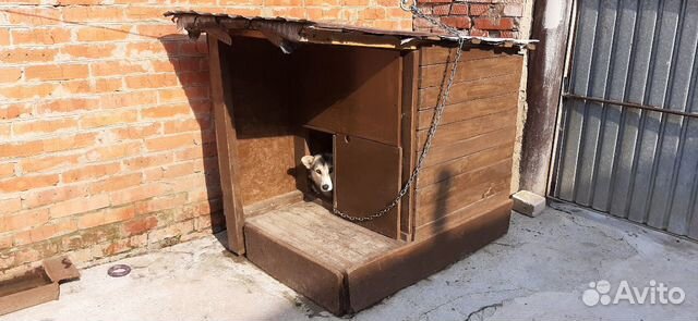 Конура будка для собаки купить на Зозу.ру - фотография № 1