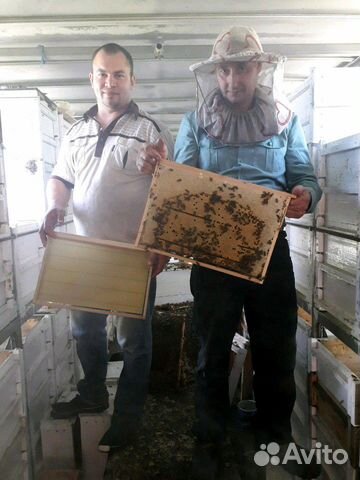 Пчелопакеты 2020 купить на Зозу.ру - фотография № 2