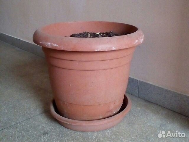 Кашпо горшок для большого цветка Кашпо горшок для большого цветка