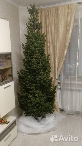 Макушка Новогодней Елки