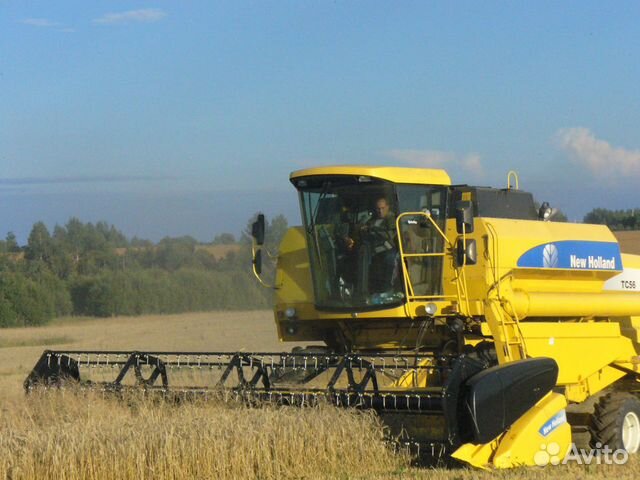 Пшеница, овес фураж купить на Зозу.ру - фотография № 2