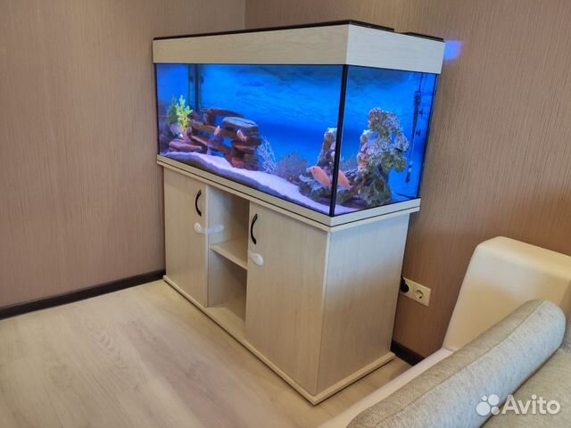 Продаётся аквариум 350 литров купить на Зозу.ру - фотография № 2