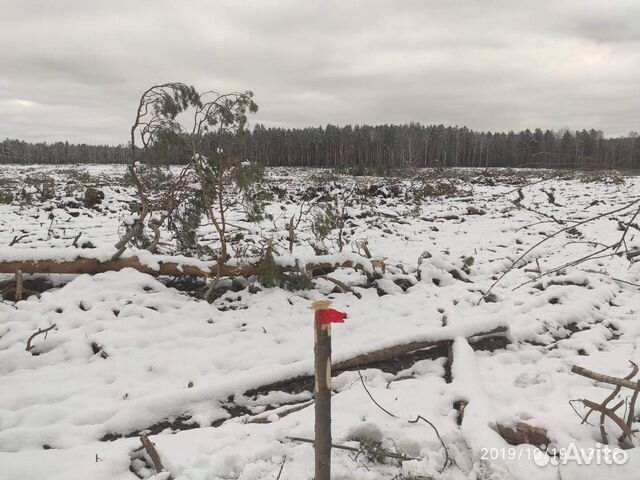 Участок 11 сот. (ИЖС)