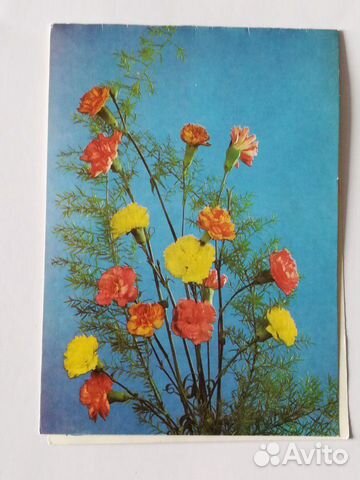 Открытка СССР. 1988 год