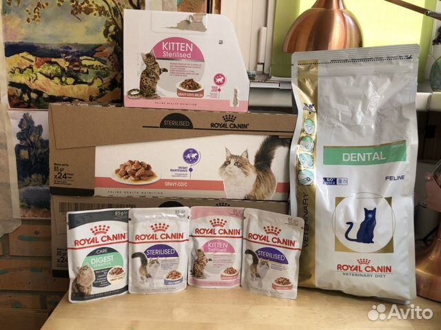 Royal Canin Корм для кошек