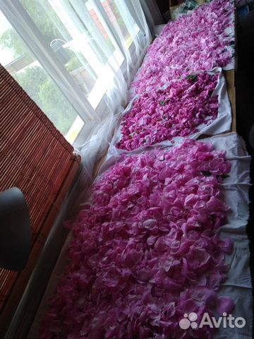 Травяной чай.Шиповник,зверобой, Иван чай