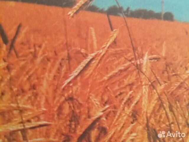 Корма для животных