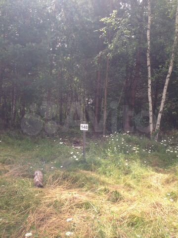 Участок 24 сот. (СНТ, ДНП)