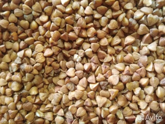 Гречка гост оптом от 50 кг