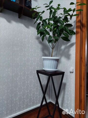 Подставка для цветов