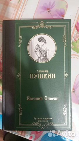 Пушкин евгений онегин