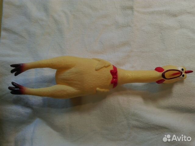 Курица