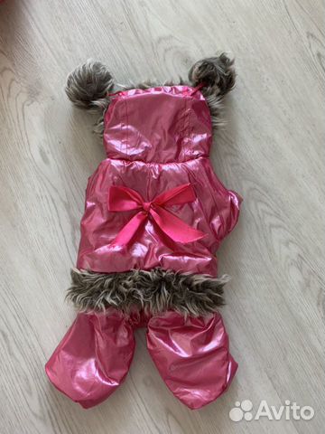 Одежда для собачки