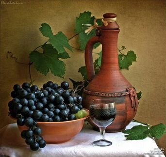 Саженцы и черенки Технического (винного) винограда